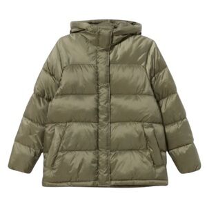 Everlane The ReNew Olive Green Puffy Puff Hooded Parka Jacket